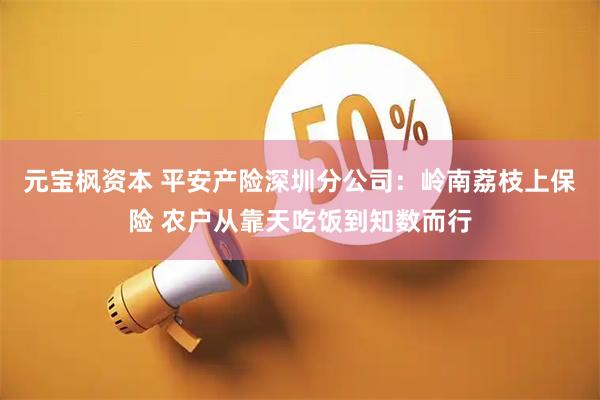 元宝枫资本 平安产险深圳分公司：岭南荔枝上保险 农户从靠天吃饭到知数而行
