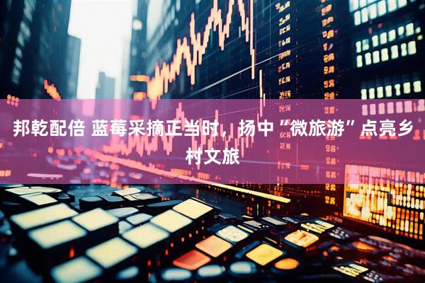 邦乾配倍 蓝莓采摘正当时，扬中“微旅游”点亮乡村文旅