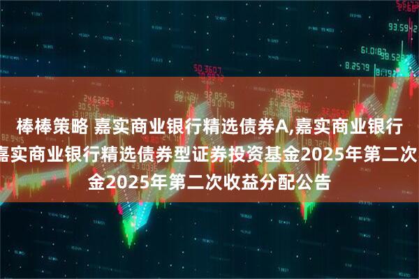 棒棒策略 嘉实商业银行精选债券A,嘉实商业银行精选债券D: 嘉实商业银行精选债券型证券投资基金2025年第二次收益分配公告