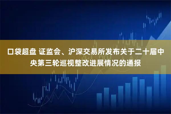 口袋超盘 证监会、沪深交易所发布关于二十届中央第三轮巡视整改进展情况的通报