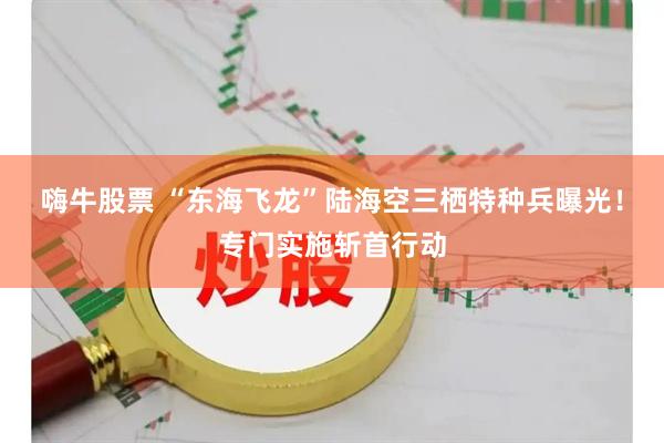 嗨牛股票 “东海飞龙”陆海空三栖特种兵曝光！专门实施斩首行动